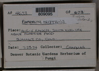 Image Associated With the Occurence